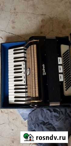 Аккордеон Геленджик - изображение 1