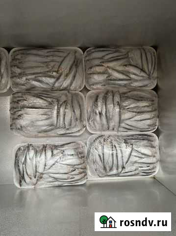 Килька свежемороженая каспийская свежая Махачкала - изображение 1