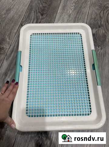 Лоток для собак Белово - изображение 1