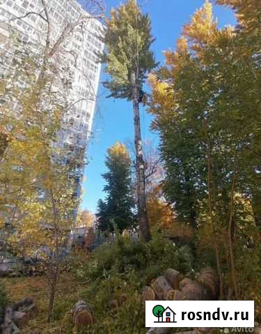 Спил деревьев Высокая Гора - изображение 1