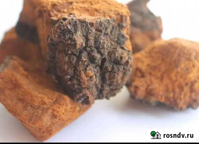 Березовый гриб чага Прокопьевск - изображение 1