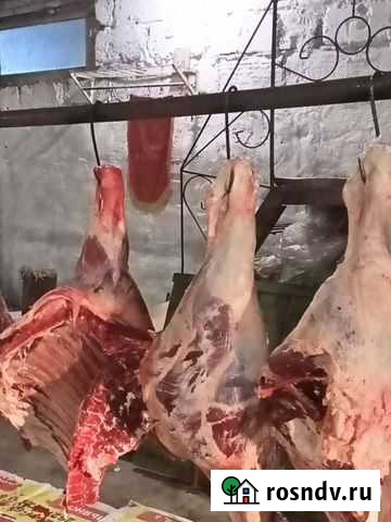 Продам мясо говядина Рубцовск - изображение 1