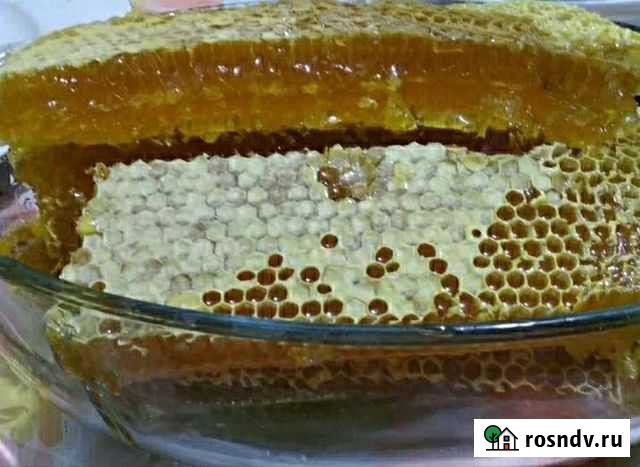 Мёд Магнитогорск - изображение 1