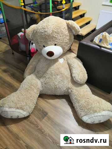 Большие плюшевые медведи Малоярославец - изображение 1