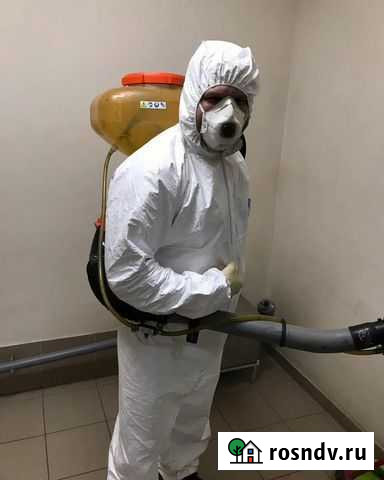 Уничтожение клопов, травля тараканов, дезинфекция Новочеркасск - изображение 1