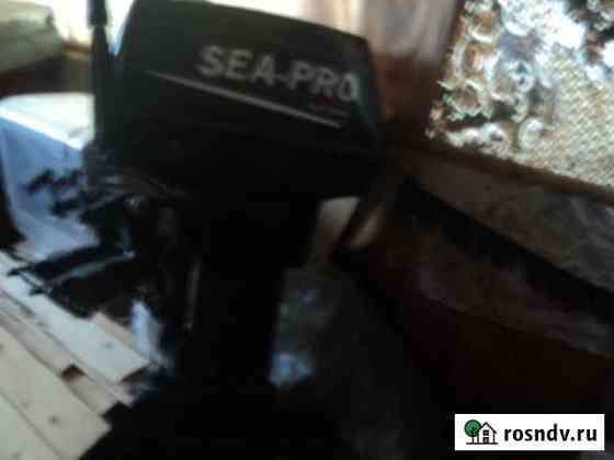 SEA-PRO 25 лс 65 000 Нюксеница