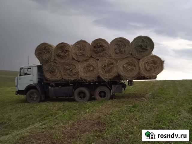 Сено Малка - изображение 1