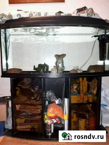 Аквариум Одинцово - изображение 1