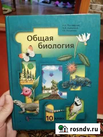 Биология 10 класс Ольховатка - изображение 1