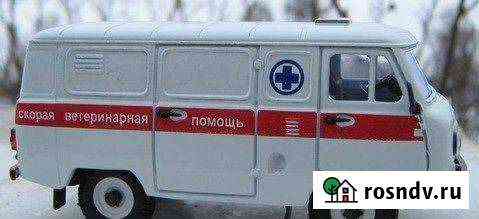 Ветеринарная помощь круглосуточно с выездом на дом Ангарск