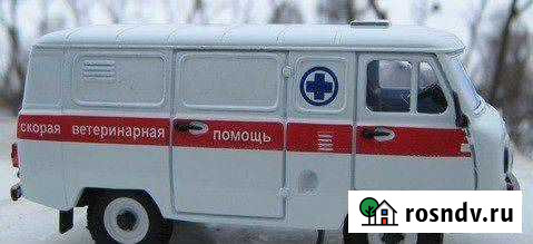 Ветеринарная помощь круглосуточно с выездом на дом Ангарск - изображение 1