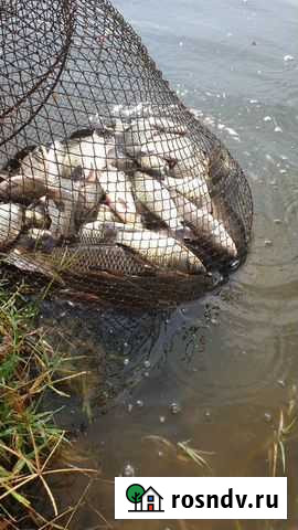 Рыбалка Успенское - изображение 1