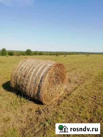 Продаю. Сенокосные угодия 170 га Усть-Ордынский - изображение 1