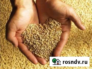 Зерно, комбикорм Лысково - изображение 1