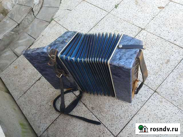 Баян Коломна - изображение 1