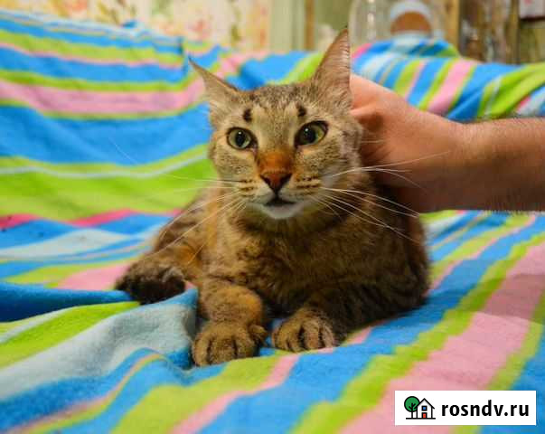 Василиса провела всю жизнь в приюте Москва - изображение 1