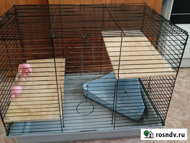 Клетка для грызунов большая Ленинск-Кузнецкий - изображение 1