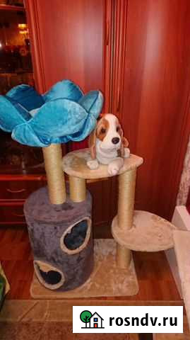 Домик для кошки Люберцы - изображение 1