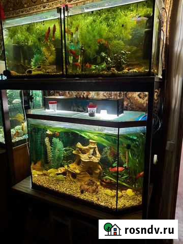 Аквариумная стойка 3 аквариума Ангарск - изображение 1