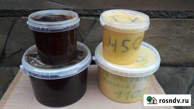 Мёд.Разнотравие.Гречиха.Подсолнух Шахты - изображение 1