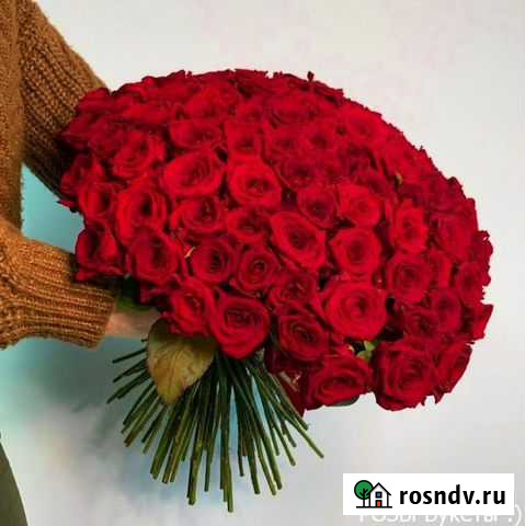 Розы Воронеж - изображение 1