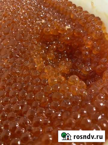 Икра красная кета Химки - изображение 1