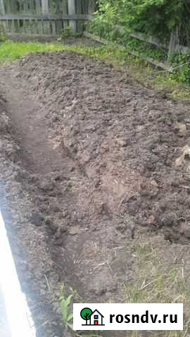 Продам птичий помет на удобрение Черусти - изображение 1