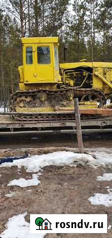 Аренда котка грунтового и аренда бульдозер Каскара - изображение 1