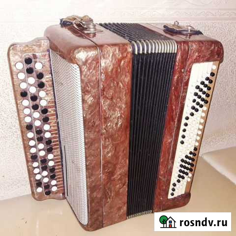 Баян тульский Курган - изображение 1