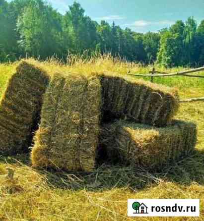 Продам сено Кантемировка
