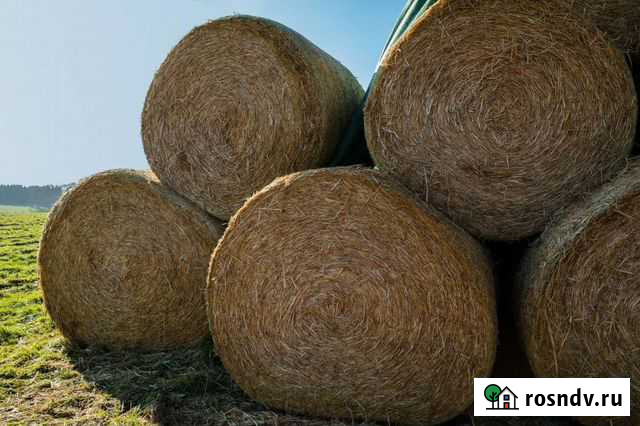 Сено в рулонах Ступино - изображение 1