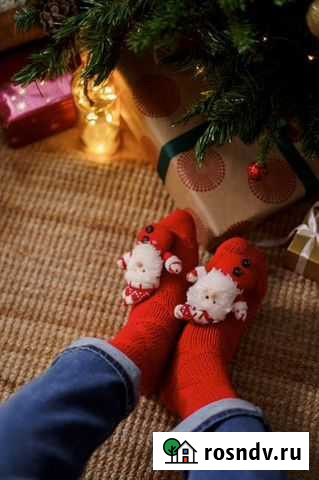 Дед мороз и Снегурочка на дом Свободный - изображение 1