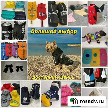 Одежда для животных Севастополь - изображение 1