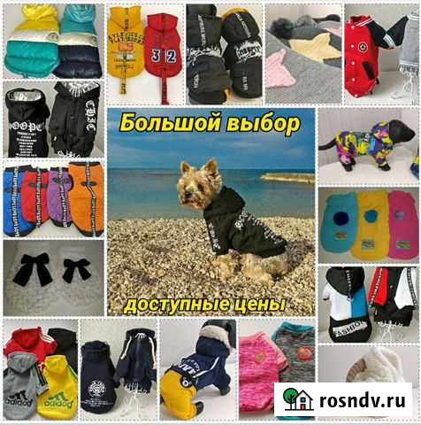 Одежда для животных Севастополь - изображение 1