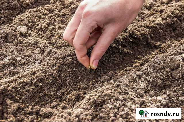 Грунт полевой Светлогорск - изображение 1