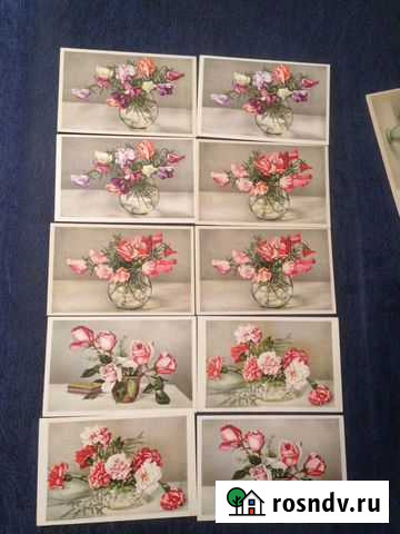 Старинные открытки Цветы Германия Erika, Elite Москва - изображение 1