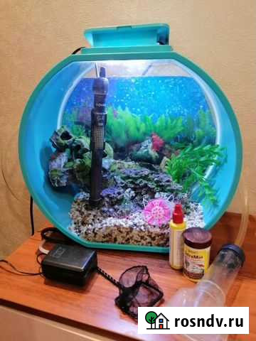 Аквариум Люберцы - изображение 1