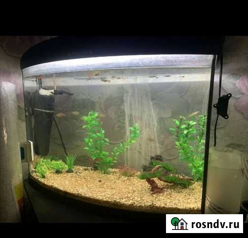 Аквариум Норильск - изображение 1