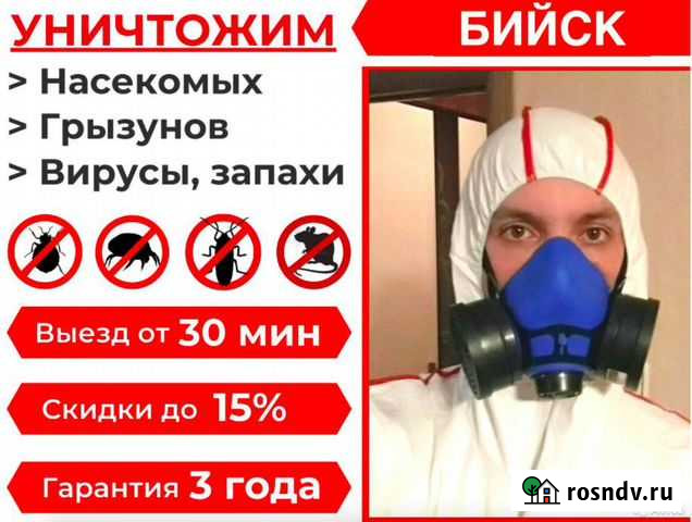 Уничтожение Клопов Тараканов Клещей Мышей Крыс Бийск - изображение 1