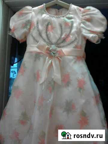 Платье Владимир - изображение 1