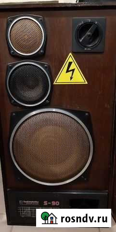 Акустическая система 35 ас-012 «Radiotehnika S-90» Липецк - изображение 1