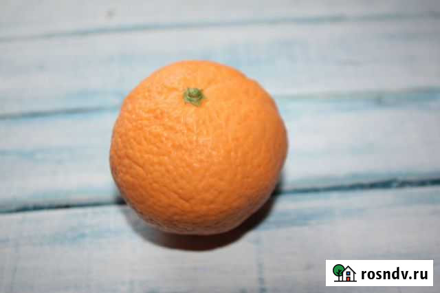 Новогоднее мыло Тверь - изображение 1