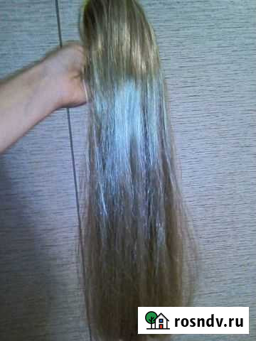 Шиньон на крабе Сыктывкар - изображение 1