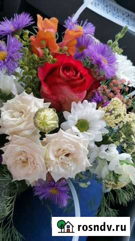 Сопровождение в школу (71 или 93) Краснодар - изображение 1