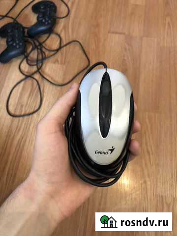 Рейвовая мышь Курск - изображение 1