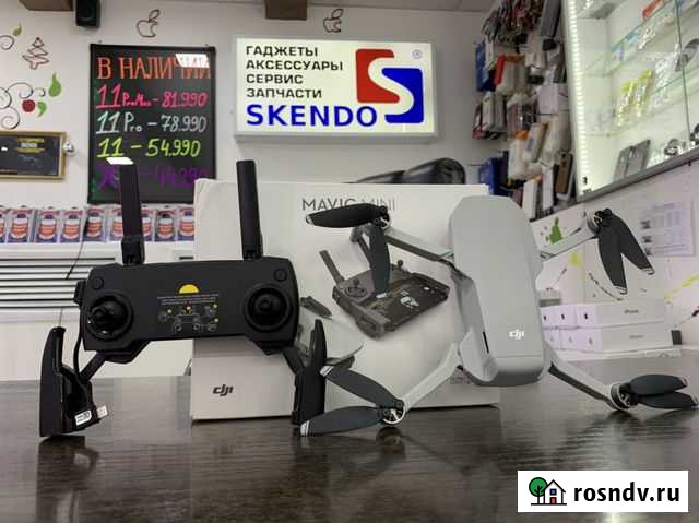 Квадрокоптер DJI Mavic Mini Пенза - изображение 1