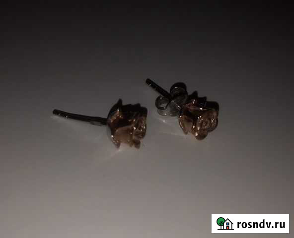 Серебряные серьги гвоздики позолота Калининград - изображение 1