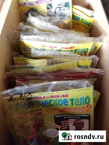 Журналы Собери и познай человеческое тело Белгород - изображение 1