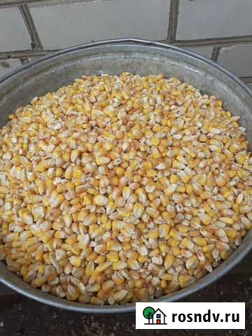 Продажа зерна Даниловка - изображение 1