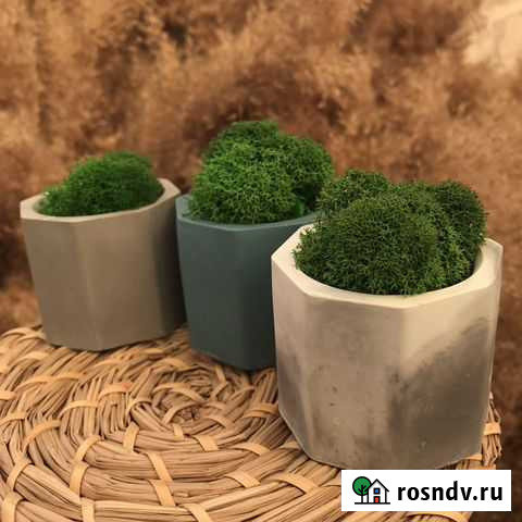 Кашпо со мхом Оренбург - изображение 1